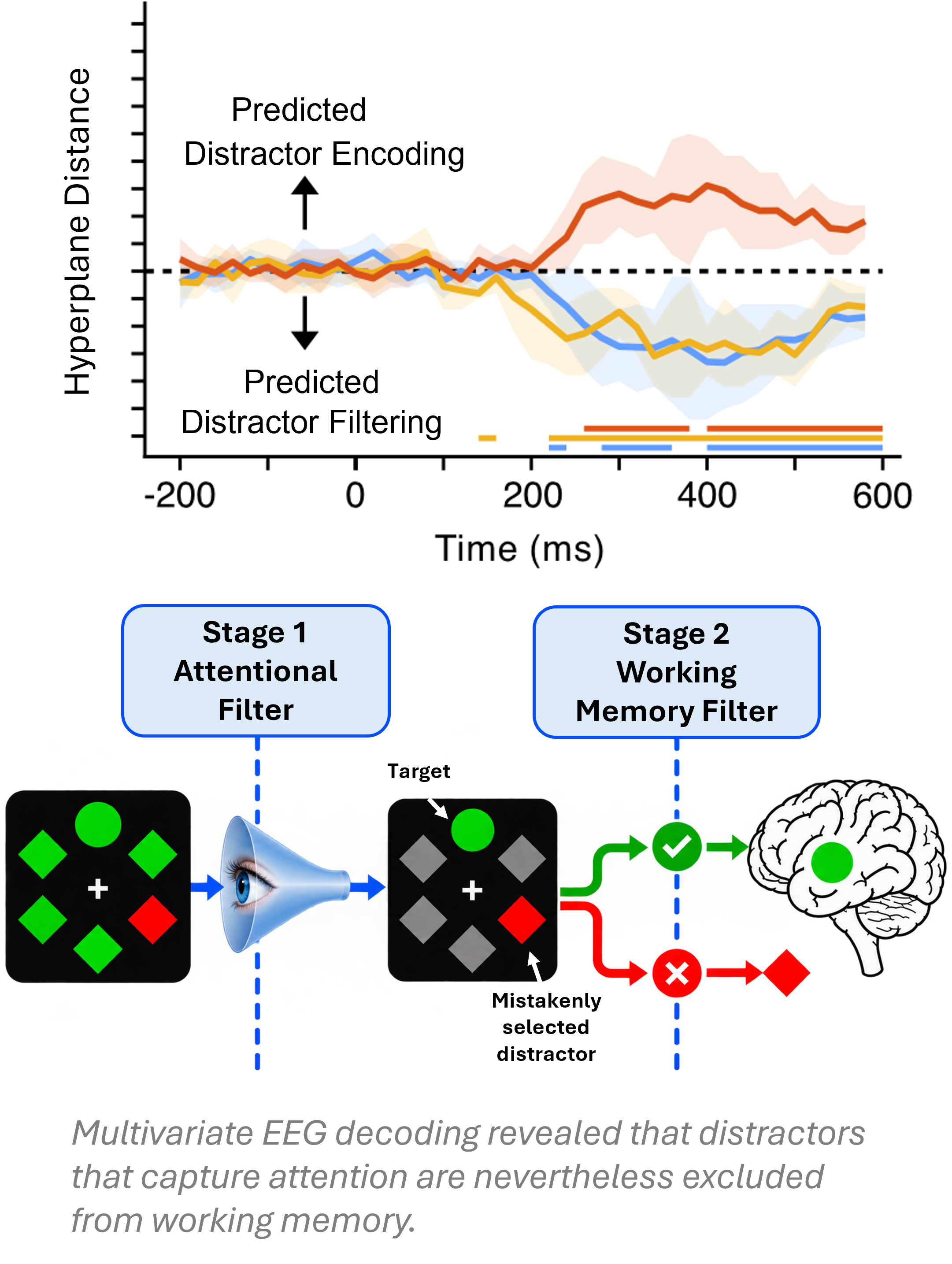 Illustration of secondary filtering during working-memory encoding.